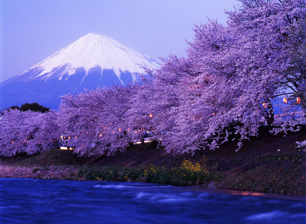 [日本本州] 富士山