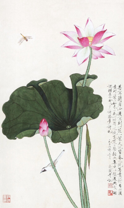 “ 花鸟画要画得朝气蓬勃，如欣赏鲜花和活泼的虫鸟一样，消除掉人们一天的疲劳，更感生活幸福… ”丨于非闇