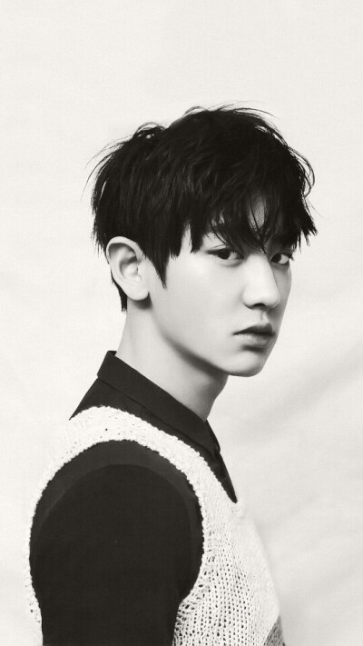 EXO 朴灿烈 明星 美男