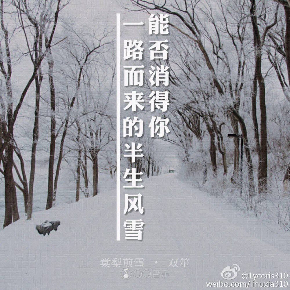 《棠梨煎雪》双笙“能否消的你，一路而来的半生风雪”