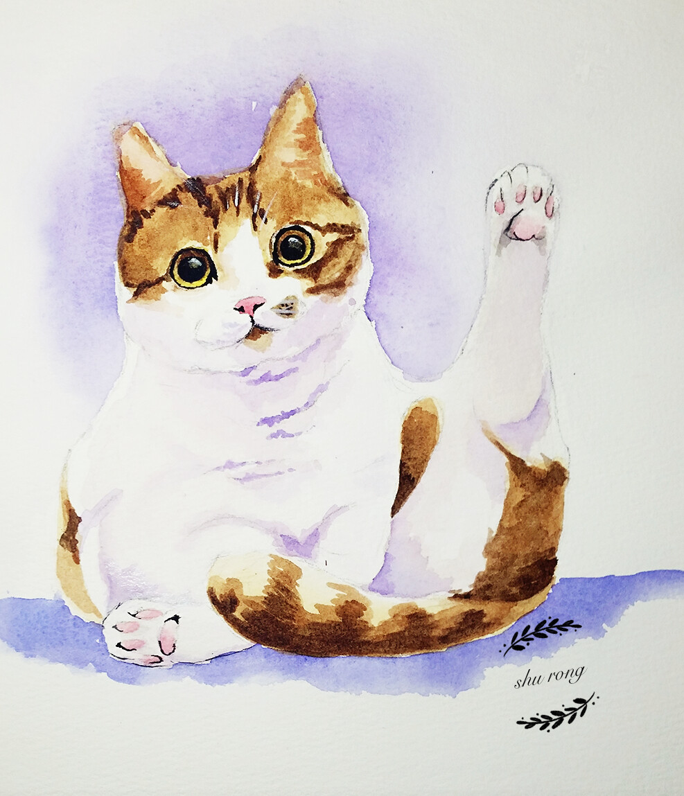 水彩手绘，八叉，中华田园猫，《画给喵星人的小情书》临摹