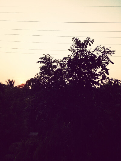  #倒计时52天#人家跳舞都是帅，怎么到我这里就广场舞大妈附体呢……要加油多练习呢