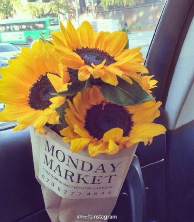 生活如歌，每一天都不同