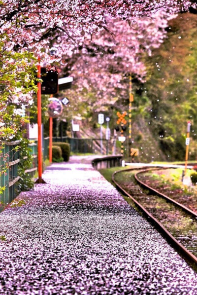 Baishinji,Ehime,Japan。日本爱媛县爱媛县松山市梅津寺町铁路车站，隶属于伊予铁道（伊予铁），最初为临时站，1931年获升格为常设站。车站建筑于海岸线旁，其中向海的2号月台，是日剧《东京爱情故事》的其中一个著名…