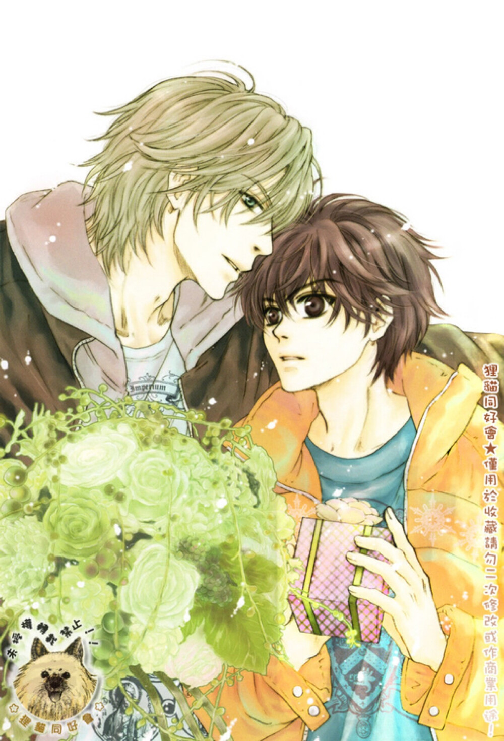 super lovers