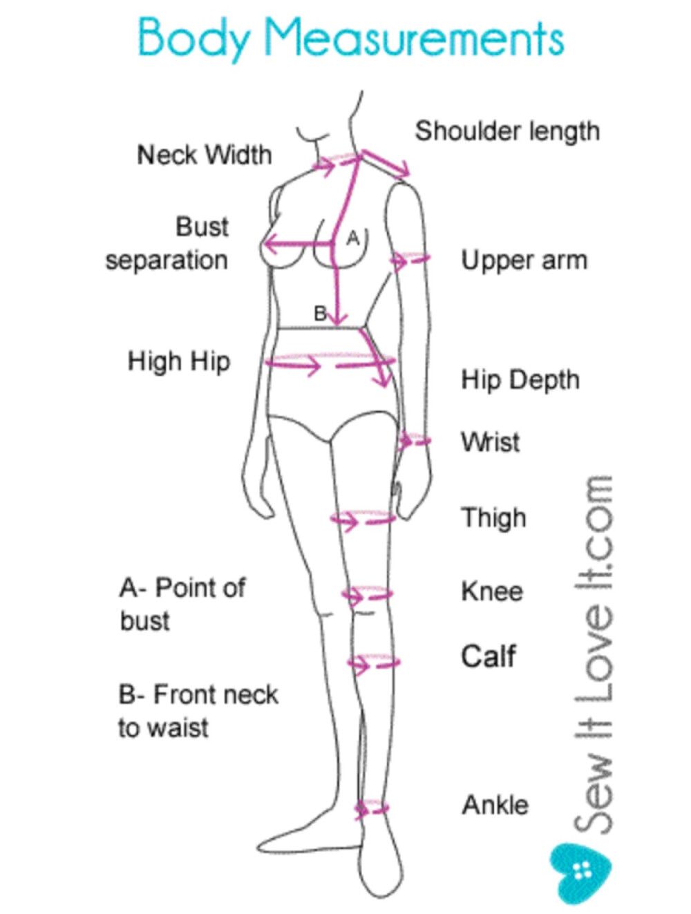 body measurement