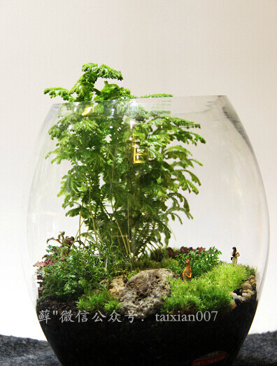 苔藓玻璃瓶素材