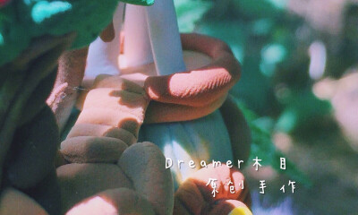 Dreamer木目粘土手作 梦想小屋