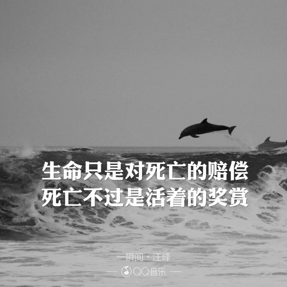 歌词海报