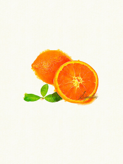 你说要橙子那就给你一只﹛SIGVETERS.COM手绘水彩插画系列﹜食物蛋糕甜点水果 