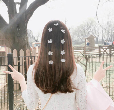 벚꽃머리樱花发型
