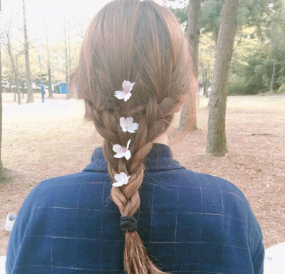 벚꽃머리樱花发型
