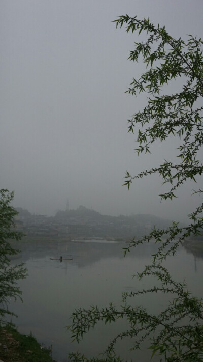 清明时节雨雾萌萌