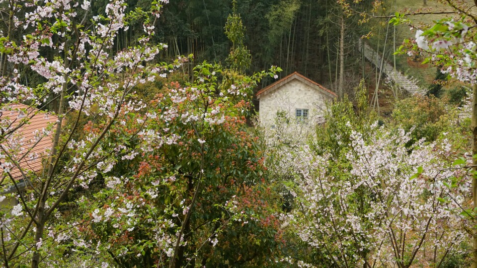 花间小屋