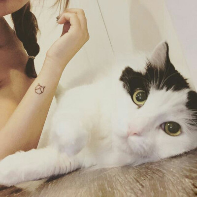 沈阳纹身～猫纹身