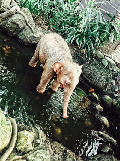 香港迪士尼随手拍 旅行