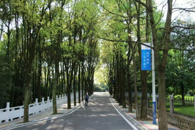 大学春