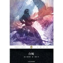 《白鲸》（Moby Dick）是19世纪美国小说家赫尔曼·梅尔维尔 于1851年发表的一篇海洋题材的小说，描写了亚哈船长为了追逐并杀死白鲸（实为白色抹香鲸）莫比·迪克，最终与白鲸同归于尽的故事。故事营造了一种让人置身海上航行、随时遭遇各种危险甚至是死亡的氛围。