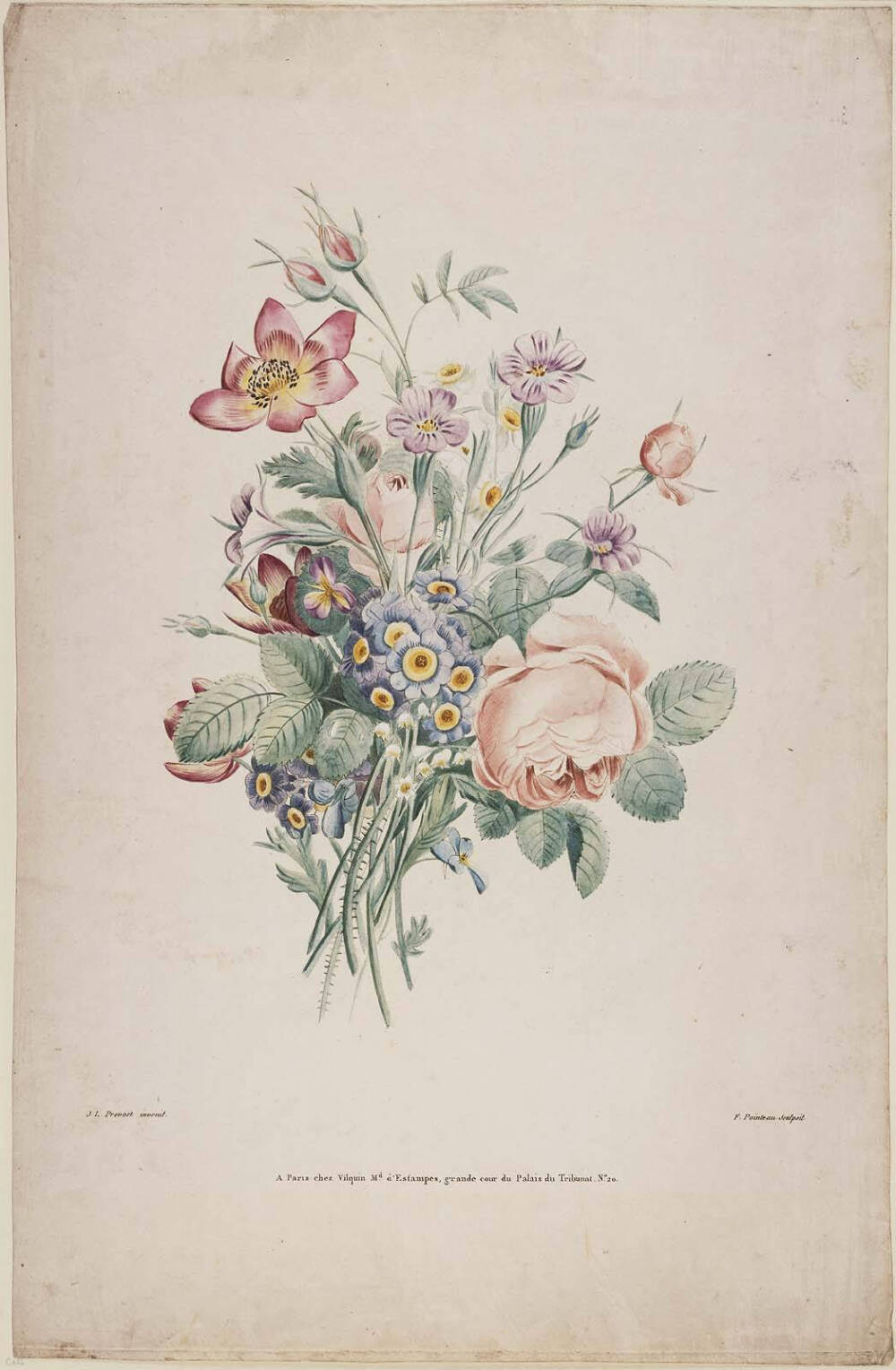 #1805 Jean Louis Prevost 绘制# #Collection des Fleurs et des Fruits# ~花花~*^O^*~