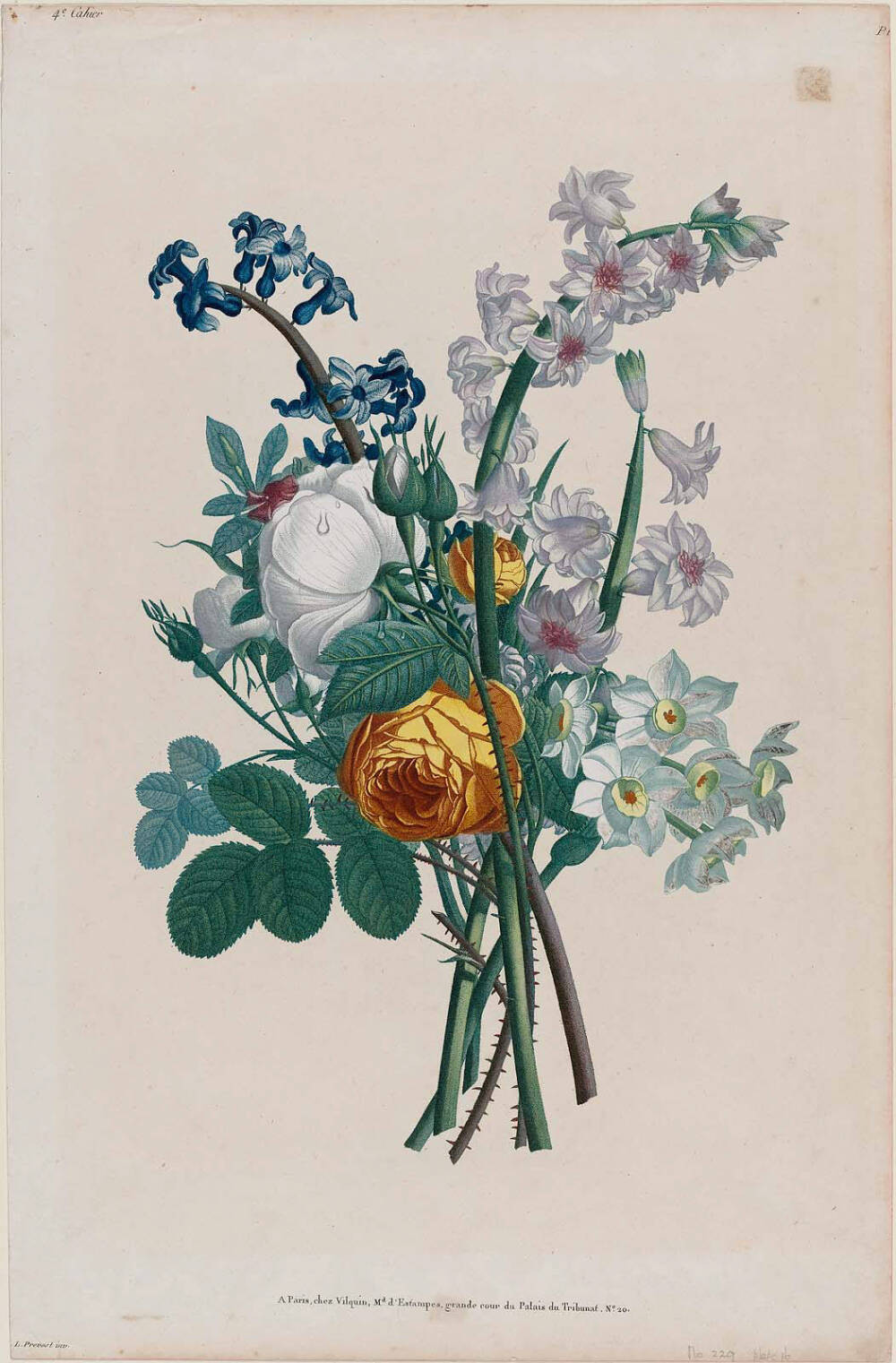 #1805 Jean Louis Prevost 绘制# #Collection des Fleurs et des Fruits# ~花花~*^O^*~