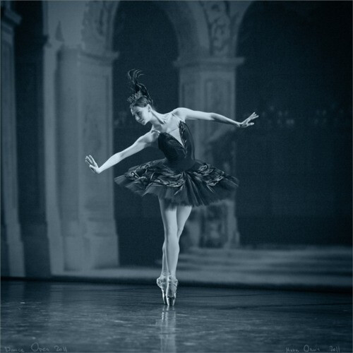 Ballet,脚尖上的独舞