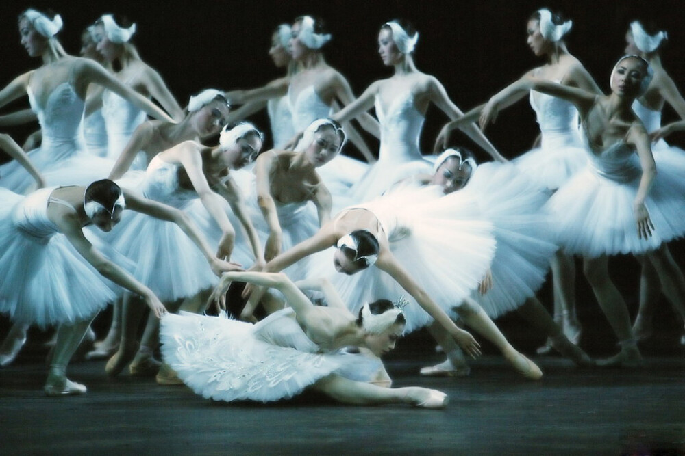 Ballet,脚尖上的独舞