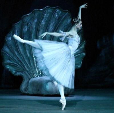 Ballet,脚尖上的独舞