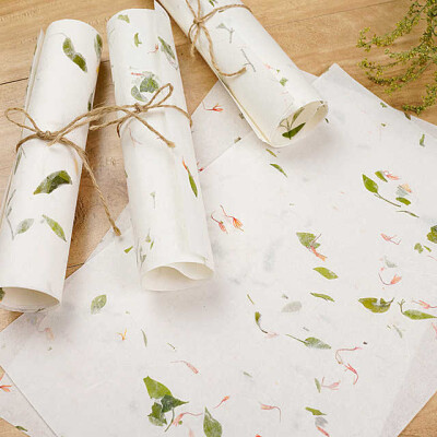 自然植物花草信纸 茶叶清香宣纸 创意书法用纸 手工宣纸 20张套装