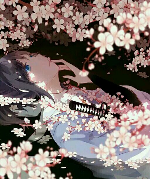 樱花 武士