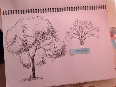 By-执笔绘青春：/零基础学画/（全自学，不喜勿喷）希望大家多多指点哈！