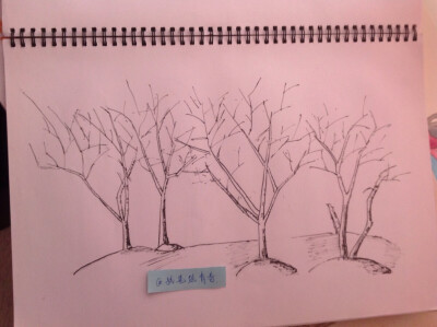 By-执笔绘青春：/零基础学画/（全自学，不喜勿喷）希望大家多多指点哈！