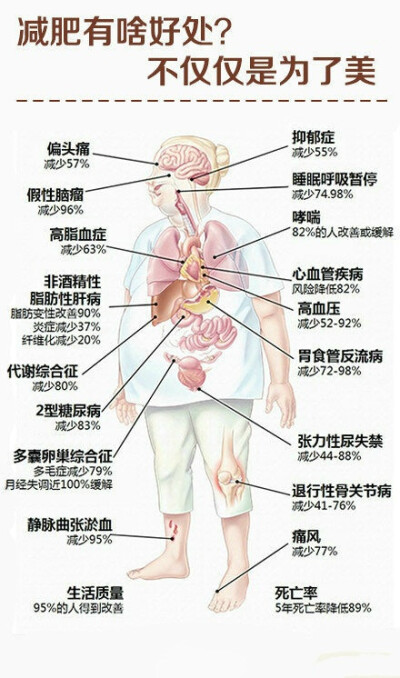 整理了一些有关减肥的知识与技巧，快看看吧！