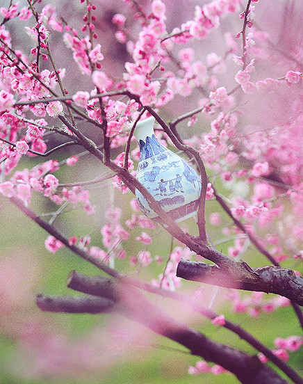 桃花一片，几多寂寞蘸点我情怀的画卷，烟雨缕缕，遮住了我想你的天，几回回梦里千寻转，倾诉衷肠。