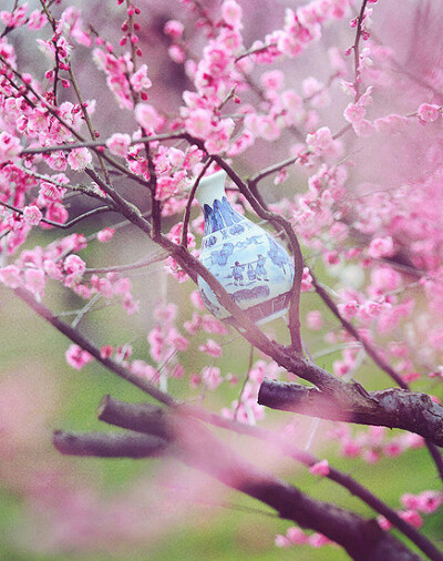 桃花一片，几多寂寞蘸点我情怀的画卷，烟雨缕缕，遮住了我想你的天，几回回梦里千寻转，倾诉衷肠。