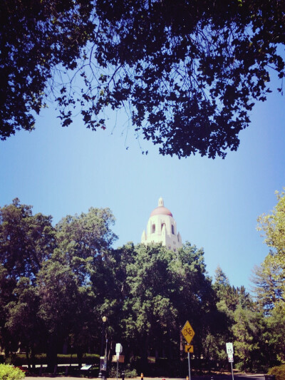 斯坦福大学的Hoover Tower