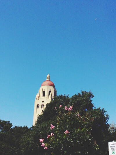 斯坦福大学的Hoover Tower