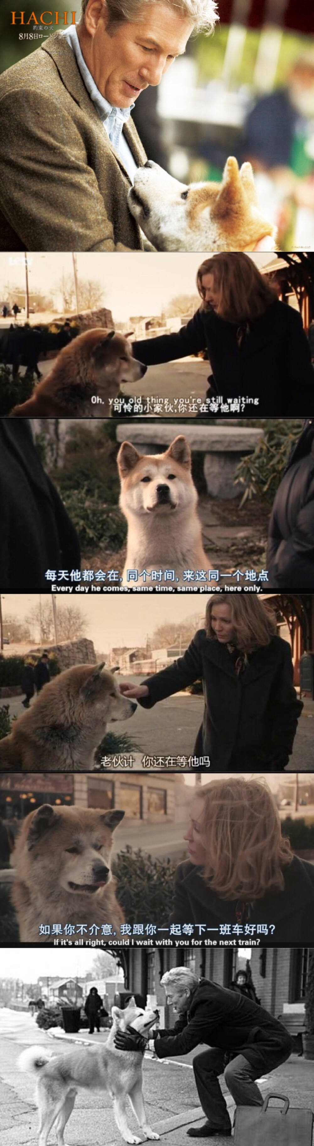 这是一只秋田犬的故事“忠犬八公”应该很多人都看过，非常经典！