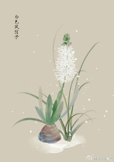 绘师：artistic青尘
#365天生日花# 1月4日 白色风信子 (Hyacinth)
花语 : 游戏人间
花箴言 : 爱无处不在，只是您随手可以抓到多! 少。