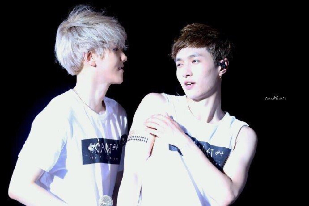 EXO BaekHyun 边伯贤 Lay 张艺兴 蛋白 cr:logo