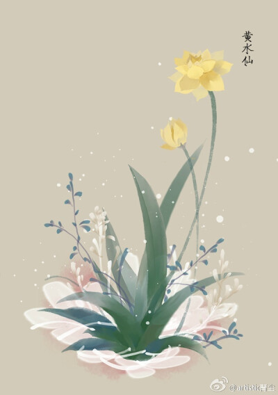 绘师：artistic青尘
#365天生日花# 1月2日 黄水仙 (Narcisus Jonquilla)
花语 : 神秘 花箴言 : 美丽的水仙总是多情善变的。