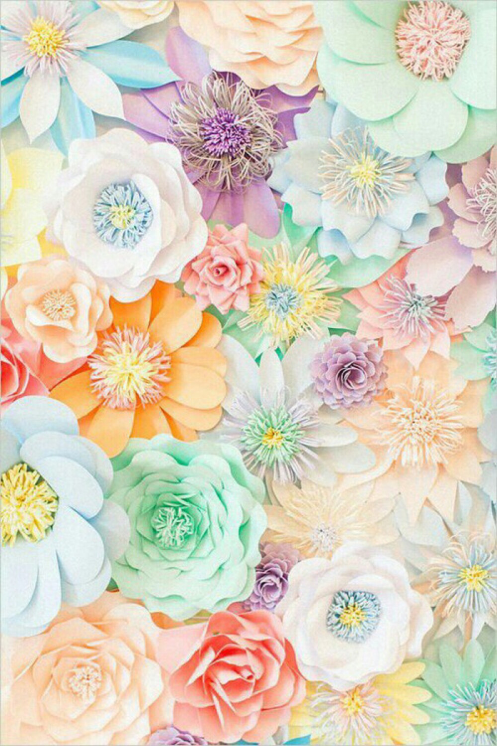 flowers background