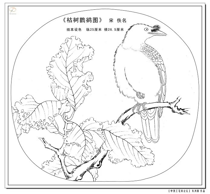 线条简洁干净～骨感美