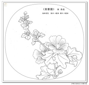 白描线稿～美