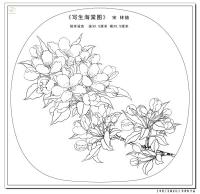 大师级白描线稿～美，临摹吗？