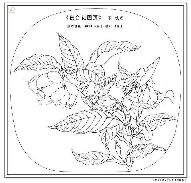 大师级白描线稿～美，临摹吗？