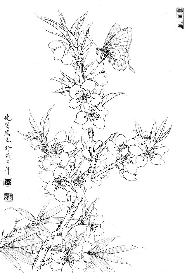 花想蝶，蝶念花～白描，美