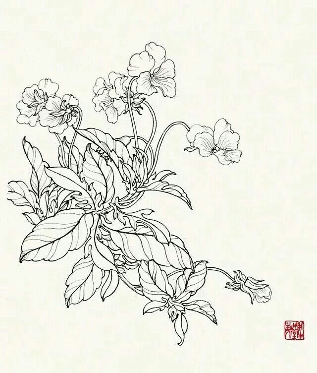 白描花卉