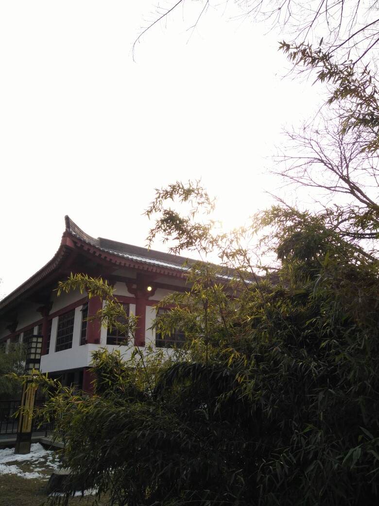 一日看尽长安景～