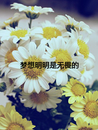 立于風中的Elsa【梦想明明是无畏的。】手机壁纸桌面背景插图插画头像 文艺字幕英文字母 唯美情绪伤感励志正能量激励 花朵雏菊白色黄色