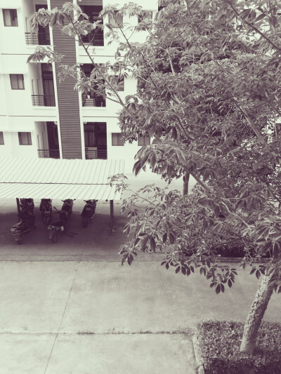 #倒计时45天#感到紧迫感，上课日还有28天。头发扎起来果然凉快多了，像个兔尾巴翘在后边